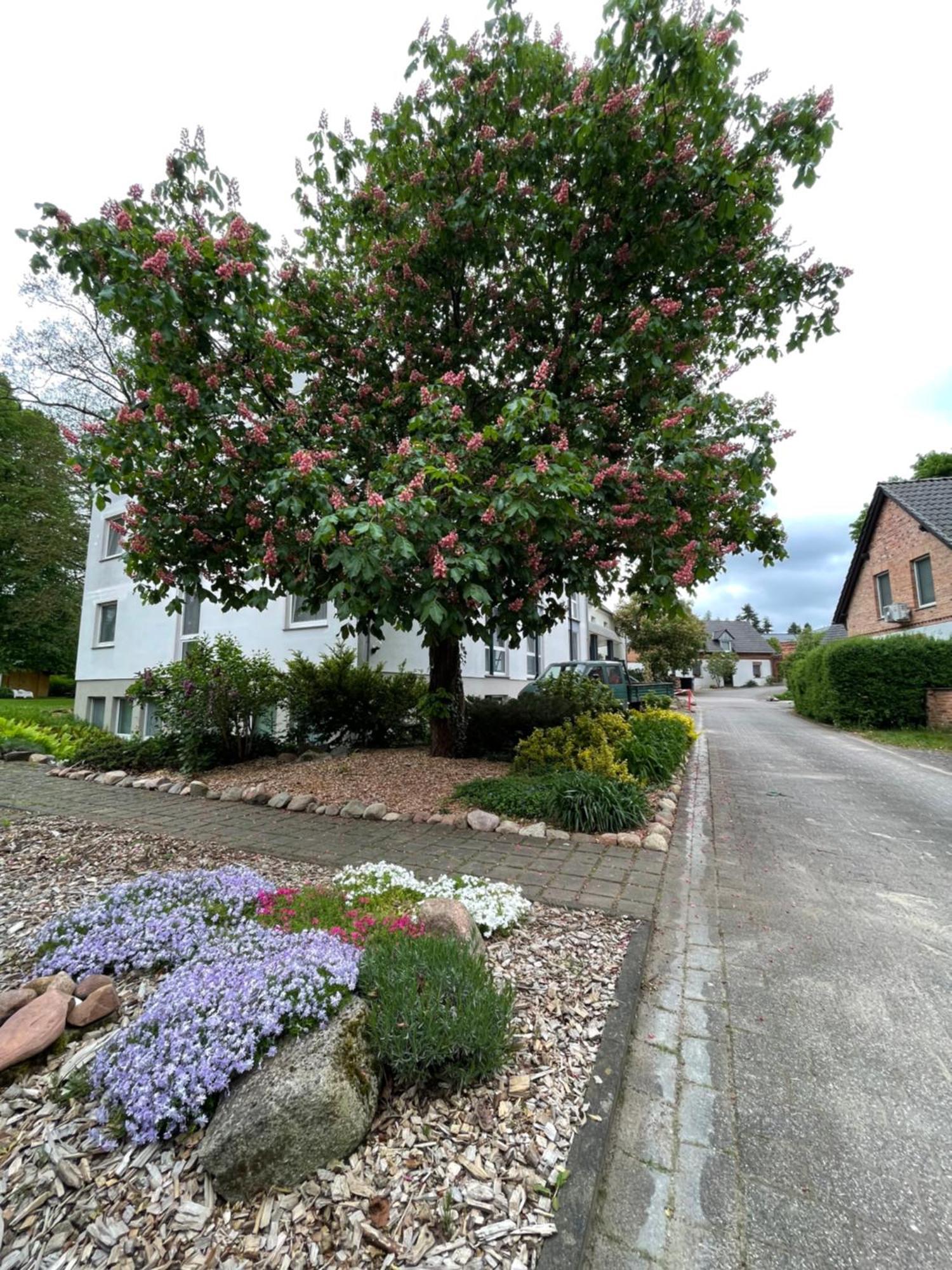Hotel Luther Birke Wittenberg Esterno foto