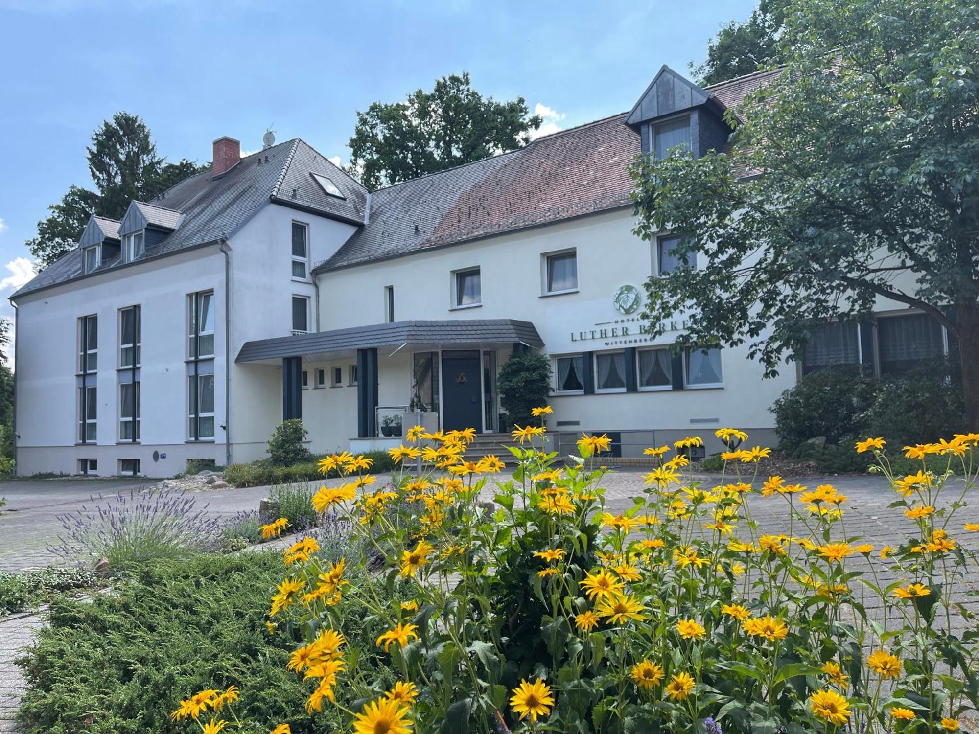 Hotel Luther Birke Wittenberg Esterno foto